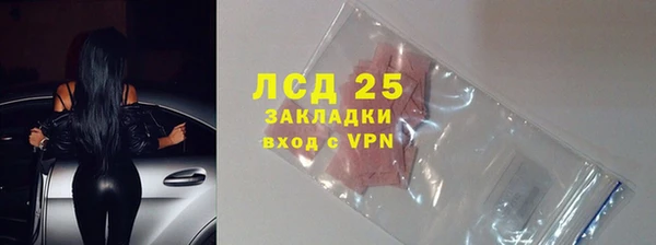 ГАЛЛЮЦИНОГЕННЫЕ ГРИБЫ Белокуриха