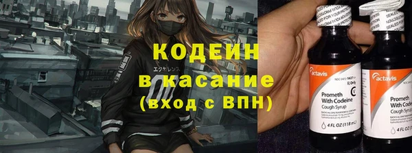 ГАЛЛЮЦИНОГЕННЫЕ ГРИБЫ Белокуриха